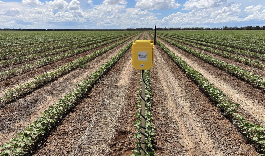 Cargill and Goanna Ag Pilot Irrigation Efficiency Technology on Mississippi Delta Cotton Fields
